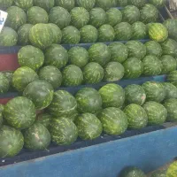 دکور هندوانه