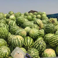 هندوانه شیرین