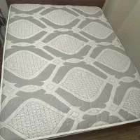 تشک زنیت آلمانی