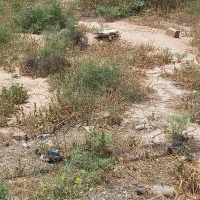 زمین مسکونی/ شهرک دانیال/ املاک نوین کده