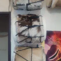 دمام پوست بز