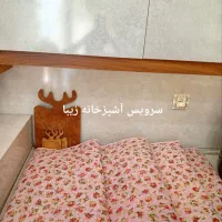 کلاسور