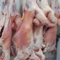 گوشت تازه بزغاله زیر قیمت بازار با شرایط ویژه