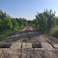 فروش باغ نبش به متراژ 800 متر درخت هفت ساله