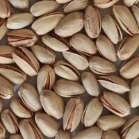 پسته درشت و باکیفیت