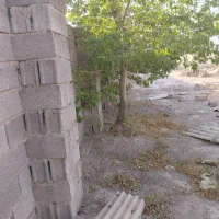 200-متر-زمین-باغی-سند-تک-برگ