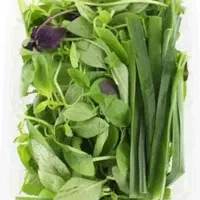 سبزی خوردن آماده و تازه در بسته بندی بهداشتی