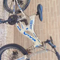 دوچرخه