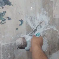 کفتر
