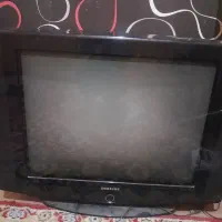 تلویزیون