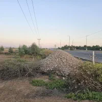زمین-کشاورزی-کنار-اتوبان-جنت-مکان-گتوند-اینده-دار