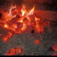 عمده فروشی نورالهدی