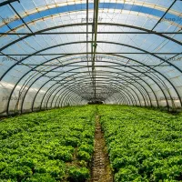 650 متر زمین با سند آماده انتقال به قیمت دلالی