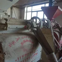کارگر باربر جهت کار در شالی کوبی و سورتینگ برنج