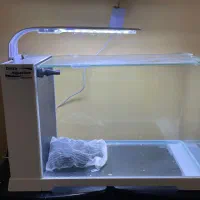 امواریوم دلسا B103