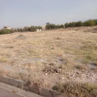 جودیم