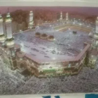 فیش حج