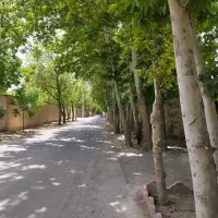 باغ-و-زمین-از-یک-هکتار-تا-1000-هکتار-شهریار-ملارد