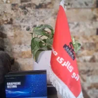 کلینیک زیبای خودرو صدرا