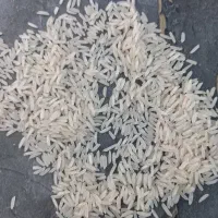 برنج طارم رضی  تضمینی به شرط پخت