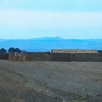 زمین-گاوداری-500-راسی