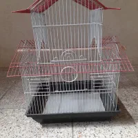 قفس