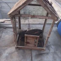 قفس چوبی بزرگ  تمیز بدون شکستگی و مور خوردگی