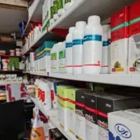 کفتر
