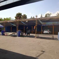 صافکاری و نقاشی