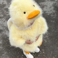 پیدا شده