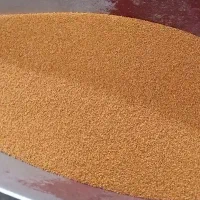 خاکشیر بوجاری شده تمیز