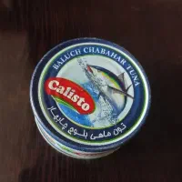 تن ماهی بلوچ چابهار، ماهی هوور