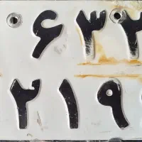 پلاک پیدا شده
