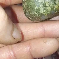 شهاب‌سنگ
