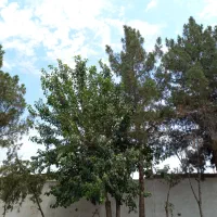 ملک-کلنگی-مسکونی-وتجاری-فروشی