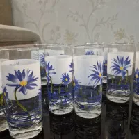 ظروف پذیرایی شیک و کاملا نو