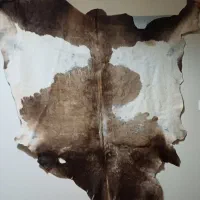 پوست چرم طبیعی گاو