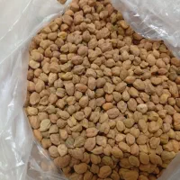 نخود قرمز