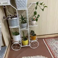 استندگل