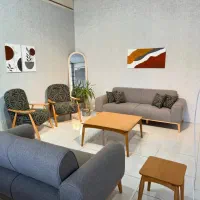مدل الیزا