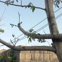 فروش-زمین105متری