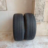 لاستیک کوییک