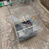 قفس پرنده همراه با لوازم کامل