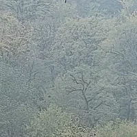 یک جعبه با ارزش پیدا شده