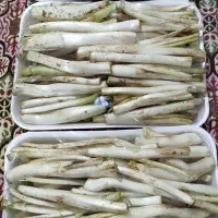 کنگر باقالی