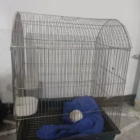 قفس پرنده