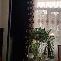 والان پرده