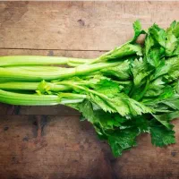پلاستیکی کرفس تازه