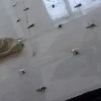 کاشی کاری وسنگ نما