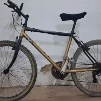 دوچرخه کوهستان سالم